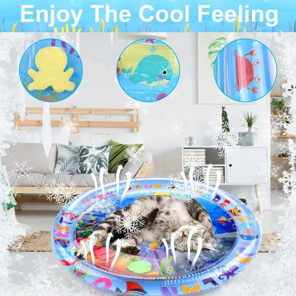 Cat Sensory Water Mat