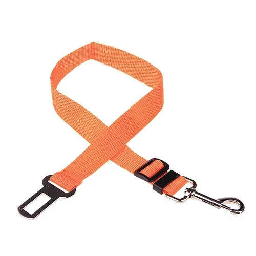 Adjustable Safety Lever Traction Dog Collars