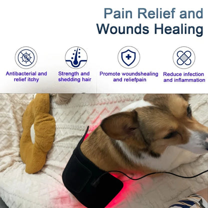 Veterinary Red Light Therapy Pad