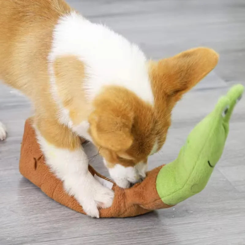 Snail Shaped Pet Toys